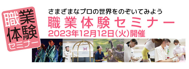 職業体験セミナー 2022年12月14日(水)開催