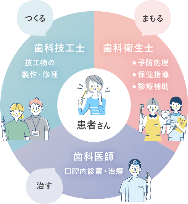 歯科チーム医療での歯科技工士・歯科衛生士・歯科医師の役割解説のイラスト