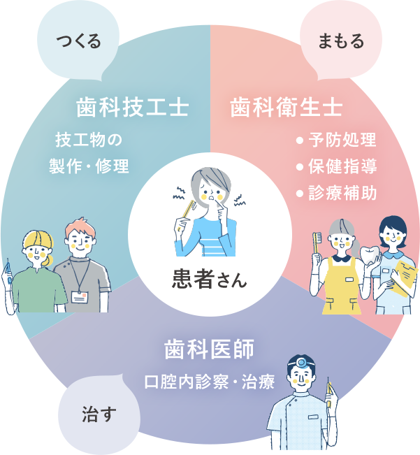 歯科チーム医療での歯科技工士・歯科衛生士・歯科医師の役割解説のイラスト