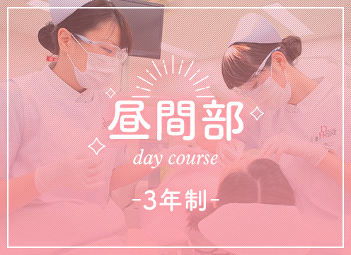 Day Course 昼間部